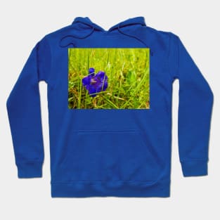 Gentiana acaulis Hoodie